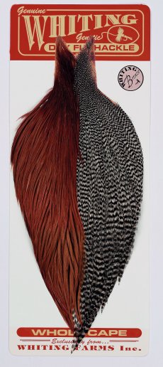 Whiting Combo Starter Whiting Combo Starter grizzly/hnědá