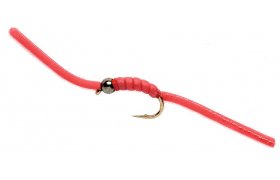 Wiggly Worm Wiggly Worm, vel. 12