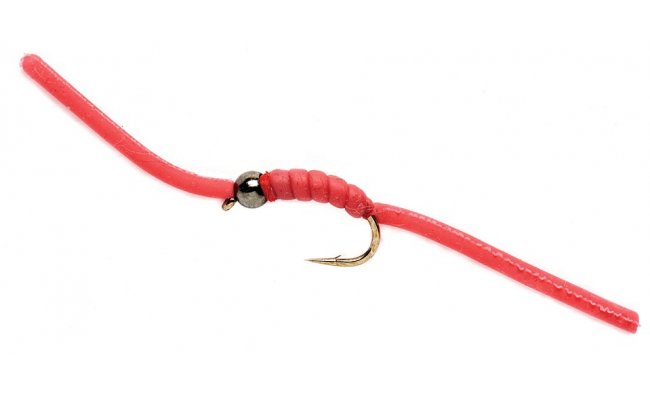 Wiggly Worm Wiggly Worm, vel. 8