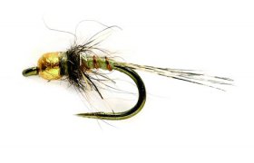 Zlatohlav mikronymfa Micro Rambo Zlatohlav mikronymfa Micro Rambo, vel. 20