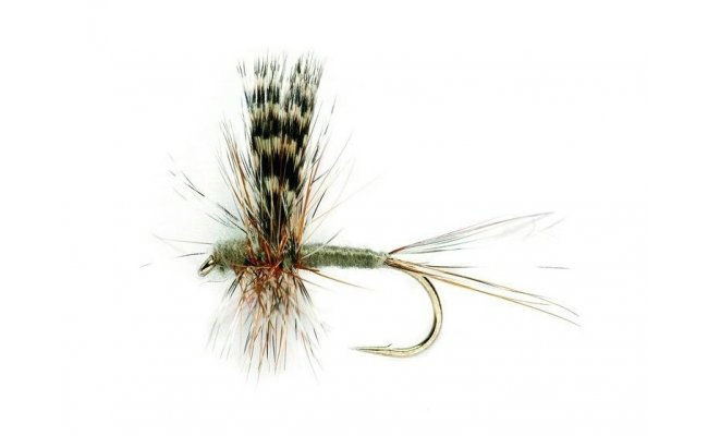 Adams Thorax Adams Thorax, vel. 14