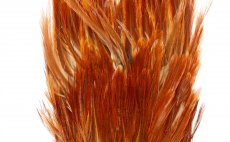 American Streamer Pack Whiting