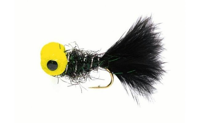 Booby Black Booby Black, vel. 10