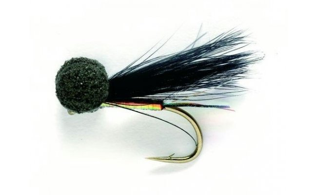 Booby Cormorant Traffic Light Booby Cormorant Traffic Light, vel. 10