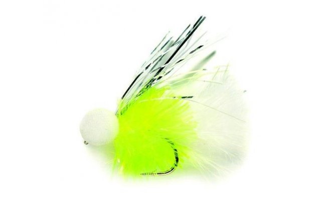 Booby Flash Cat Booby Flash Cat, vel. 10