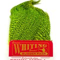 Bugger Pack Whiting