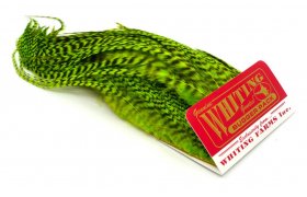 Bugger Pack Whiting  Bugger Pack Whiting grizzly fluo chartreuse