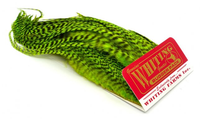 Bugger Pack Whiting  Bugger Pack Whiting grizzly fluo chartreuse