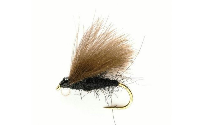 CDC Black CDC Black, vel. 16