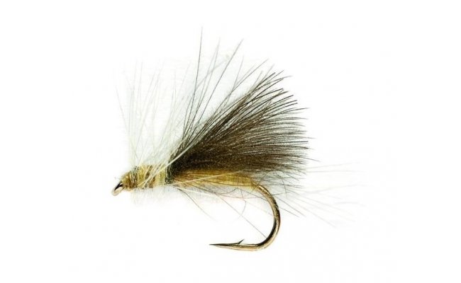 CJ's Ducks Dun CJ's Ducks Dun, vel. 16