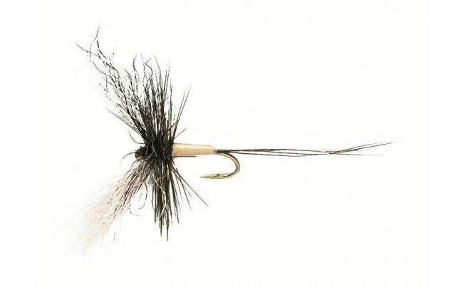 Goddardova m�jovka Poly Spinner Goddardova m�jovka Poly Spinner, vel. 10