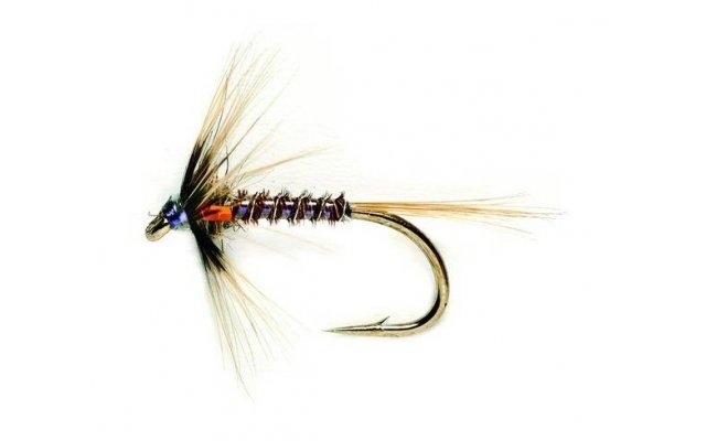 Jezern� nymfa Crucher oran�ov� Jezern� nymfa Crucher oran�ov�, vel. 12