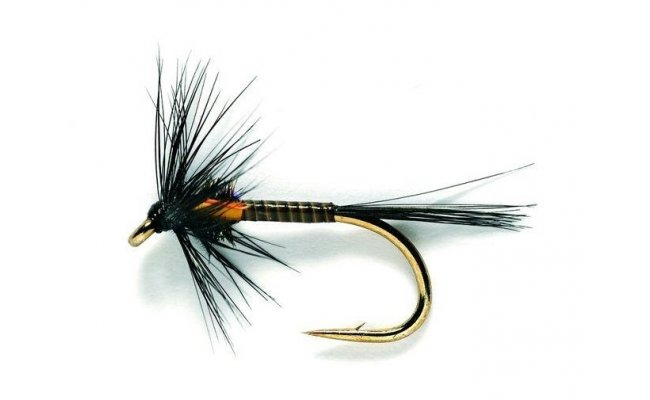 Jezern� nymfa Cruncher �ern� Traffic Light Jezern� nymfa Cruncher �ern� Traffic Light, vel. 10