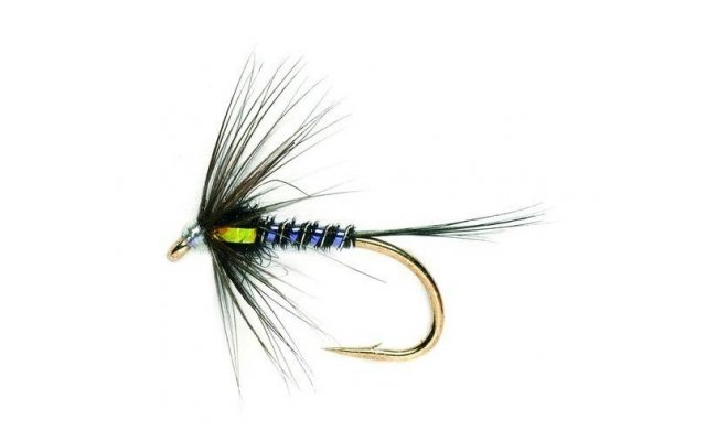 Jezern� nymfa Cruncher limetkov� Jezern� nymfa Cruncher limetkov�, vel. 10