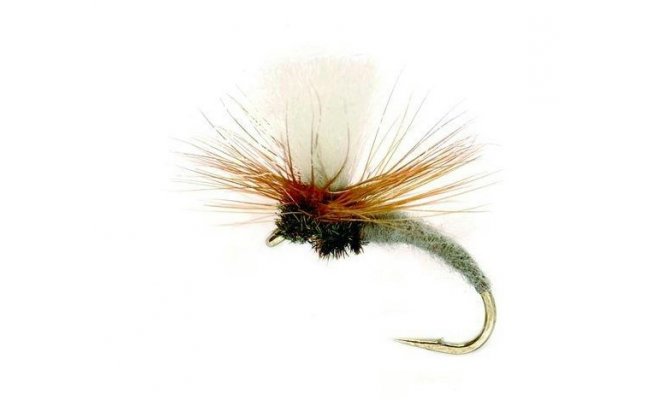 Klink Adams Grey Klink Adams Grey, vel. 14