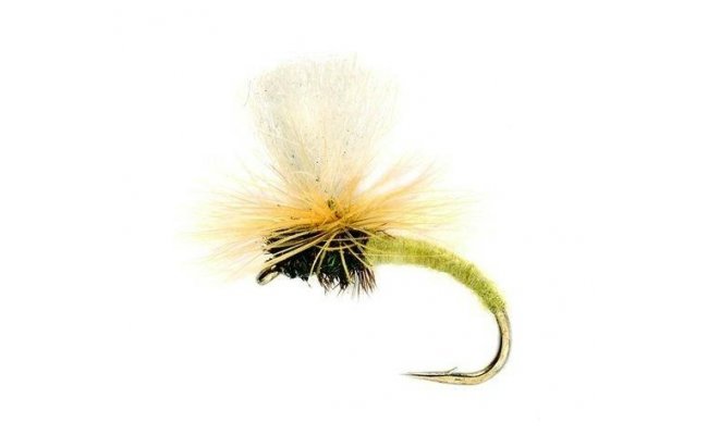 Klink Yellow Klink Yellow, vel. 14