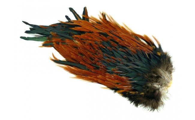 Kohout sedlov skalp Whiting Rooster Saddle 4 B's Kohout sedlov skalp Whiting Rooster Saddle 4 B's hnd