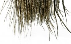 Kohout sedlov skalp Whiting Rooster Saddle Hebert Miner Dry Fly Hackle Pro Grade