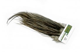 Kohout sedlov skalp Whiting Rooster ... Kohout sedlov skalp Whiting Rooster Saddle Hebert Miner Dry Fly Hackle Pro Grade