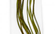 Kohout srpky Whiting 100 Pack - Velikost 12