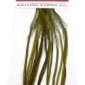 Kohoutí srpky Whiting 100 Pack - Velikost 12