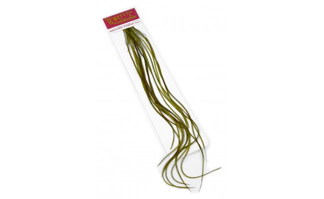 Kohout srpky Whiting 100 Pack - Velikost 12 Kohout srpky Whiting 100 Pack - Velikost 12 tmav olivov