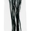Kohoutí srpky Whiting 100 Pack - Velikost 14