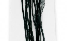 Kohout srpky Whiting 100 Pack - Velikost 14