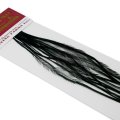 Kohoutí srpky Whiting 100 Pack - Velikost 14