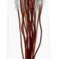 Kohoutí srpky Whiting 100 Pack - Velikost 16