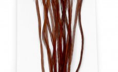 Kohout srpky Whiting 100 Pack - Velikost 16