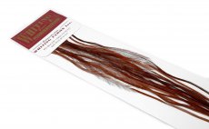 Kohout srpky Whiting 100 Pack - Velikost 16