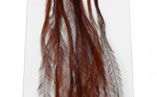 Kohout srpky Whiting 100 Pack - Velikost 16