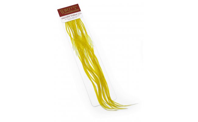 Kohout srpky Whiting 100 Pack - Velikost 22 Kohout srpky Whiting 100 Pack - Velikost 22 edo-lut