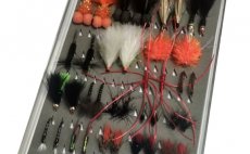 TOP Celoron jezern muky - Kolekce muek