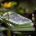 Krabička na mušky Guideline Slim Nymph - V akci