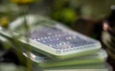 Krabi�ka na mu�ky Guideline Slim Nymph - V akci