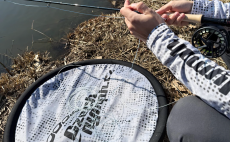 Kruh na odkldn mukask ry CzechNymph