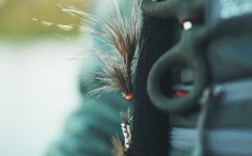 Mukask nprsn taka Guideline Experience