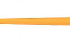 Mukask ra plovouc Scientific Anglers 3M Mastery Expert Distance