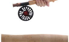 Mukask prut Leichi Farglory