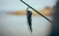 Mu�ka�sk� set - Guideline Embrace Predator SH - V akci