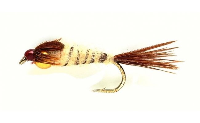 Nymfa m�jovky (Gold Nugget) Nymfa m�jovky (Gold Nugget), Size 12