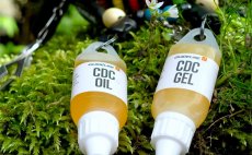 Olej na such muky Guideline CDC Oil