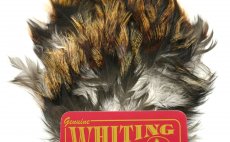 Pe Coq de Leon Whiting Tailing Pack