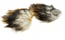 Pe Coq de Leon Whiting Tailing Pack