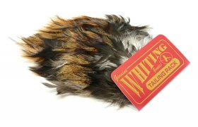 Pe Coq de Leon Whiting Tailing Pack Pe Coq de Leon Whiting Tailing Pack prodn melr