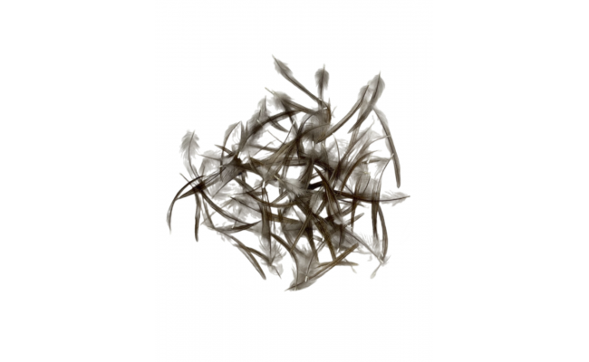 Peka French Hackle Quill & Fly Peka French Hackle Quill & Fly prodn