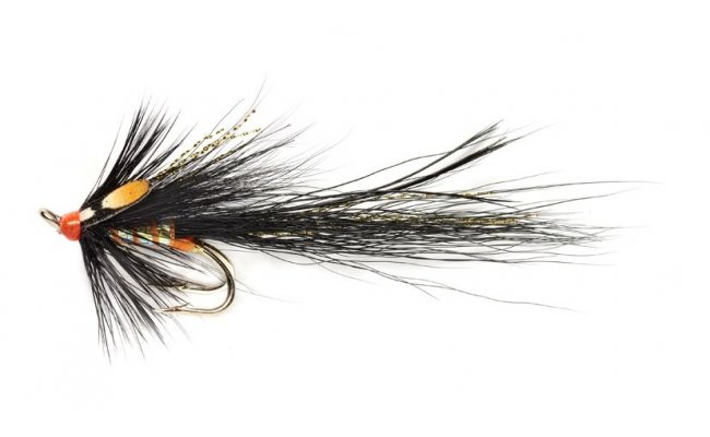 Piglet Gledswood Stoat Piglet Gledswood Stoat, vel. 8