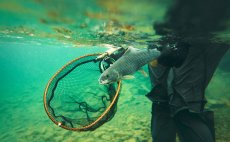 Podbrk Guideline Multi Grip Rubber Mesh